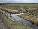 Marton van Beurden | Landschapsinrichting